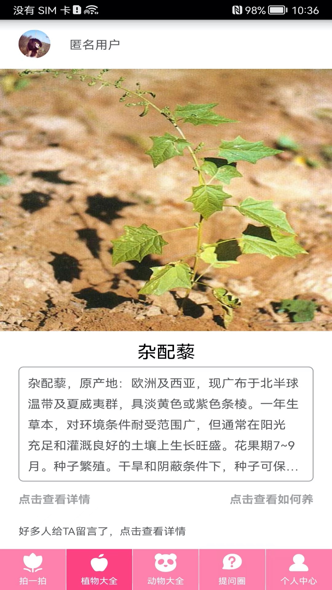 拍照识物